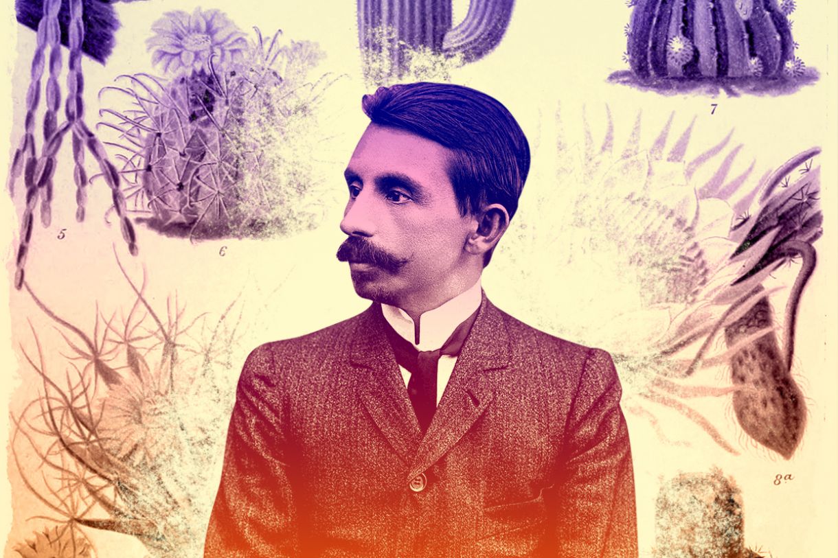 Euclides da Cunha e o devaneio sobre o sertão Revista Continente