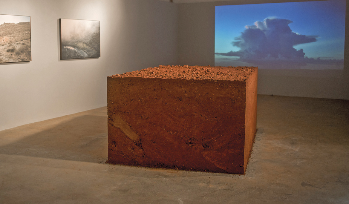 Exposição 'Terra' (2015), curadoria de Gabriel Bogossian, Galeria Emma Thomas São Paulo, SP